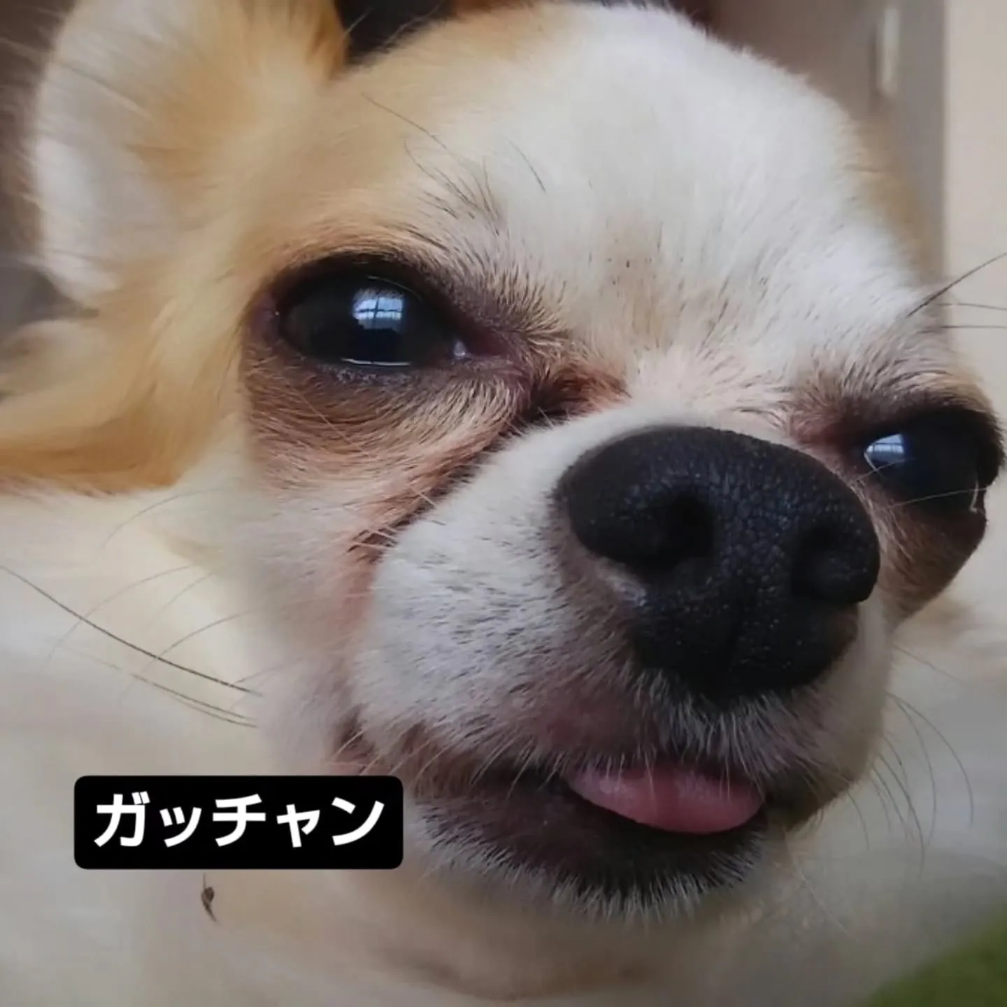 まだ開けてる、もう開けてる、ずっと開けてる